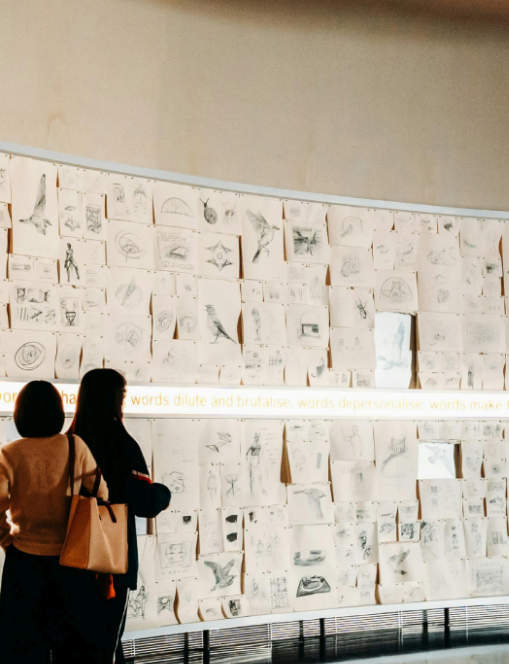 imagen portada para el curso de Comisariado de exposiciones en la que aparecen dos mujeres visualizando dibujos